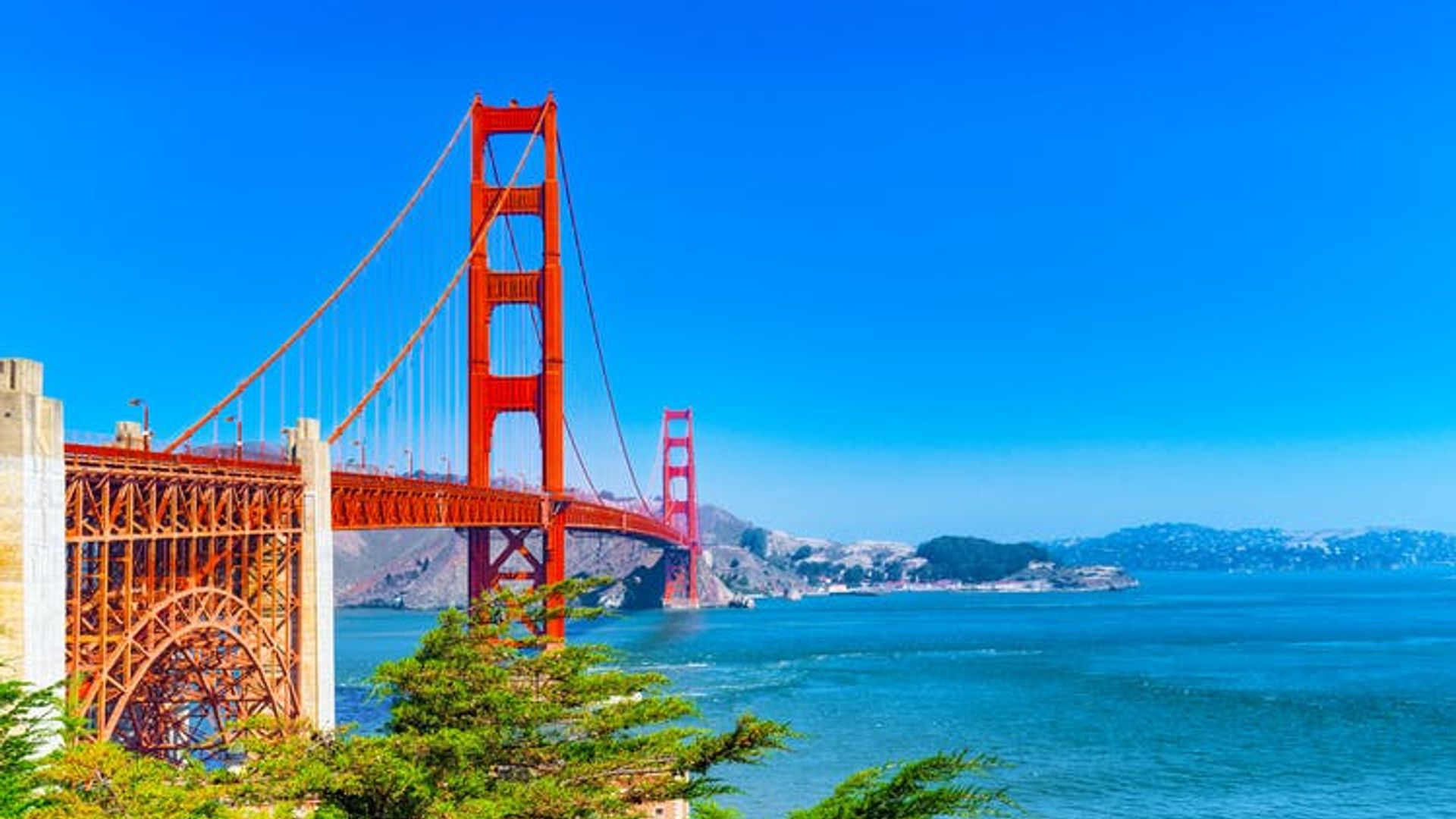 Alcatraz, Muir Woods and Golden Gate Bridge visit image 2