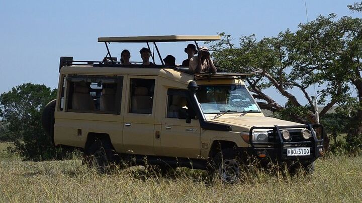 Nairobi Park Wildlife Safari