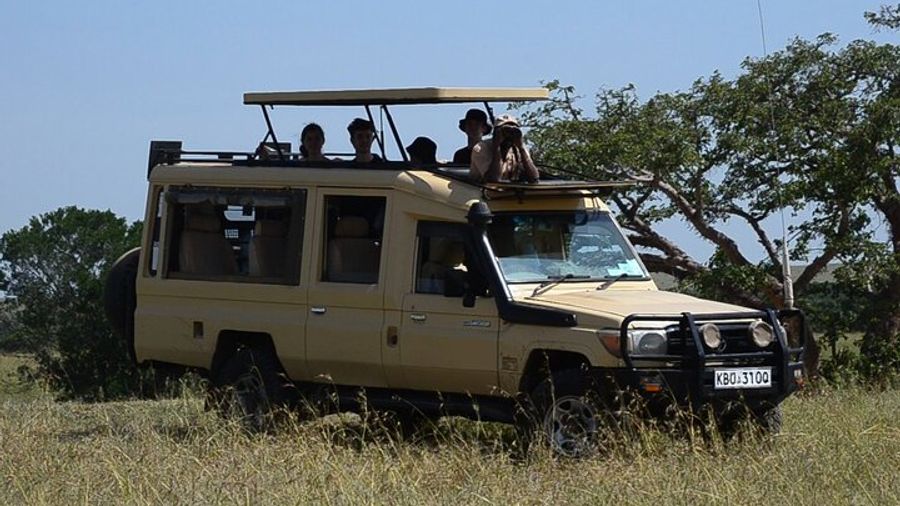 Nairobi Park Wildlife Safari