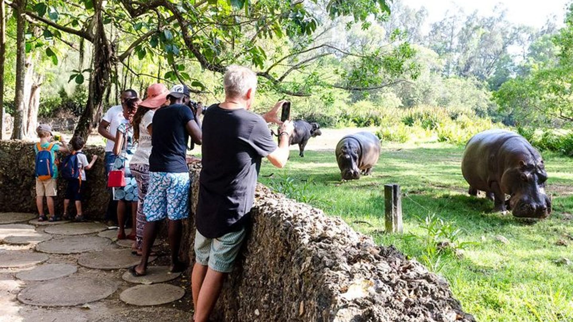 Wild Waters - Haller Park Day Excursion (minimum 2 Pax)