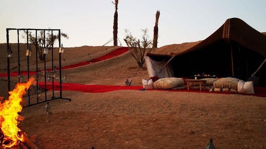 Camel ride and dinner Agafay desert