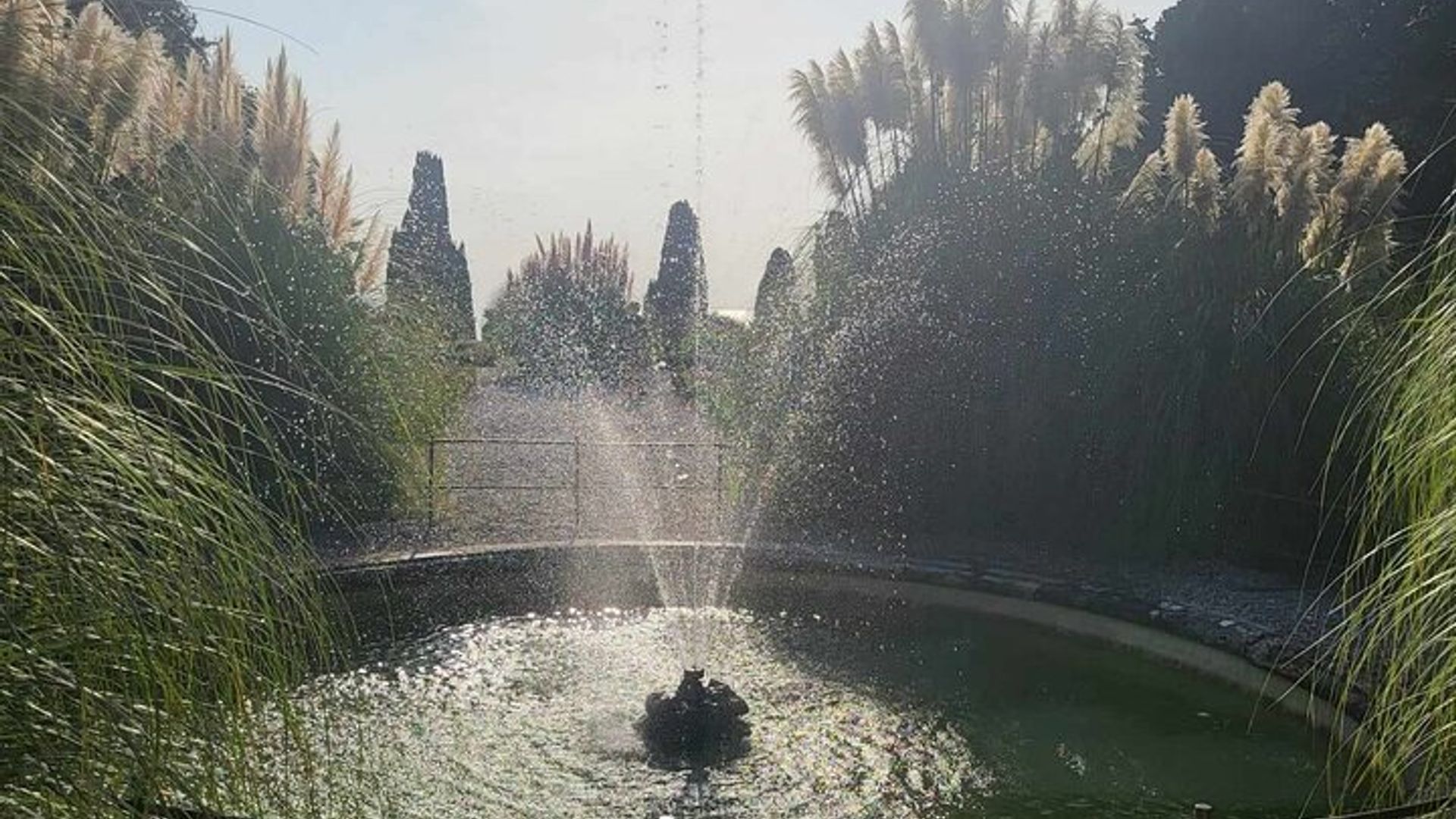 Tour of the Historical Museum and Miramare Castle Park in Trieste