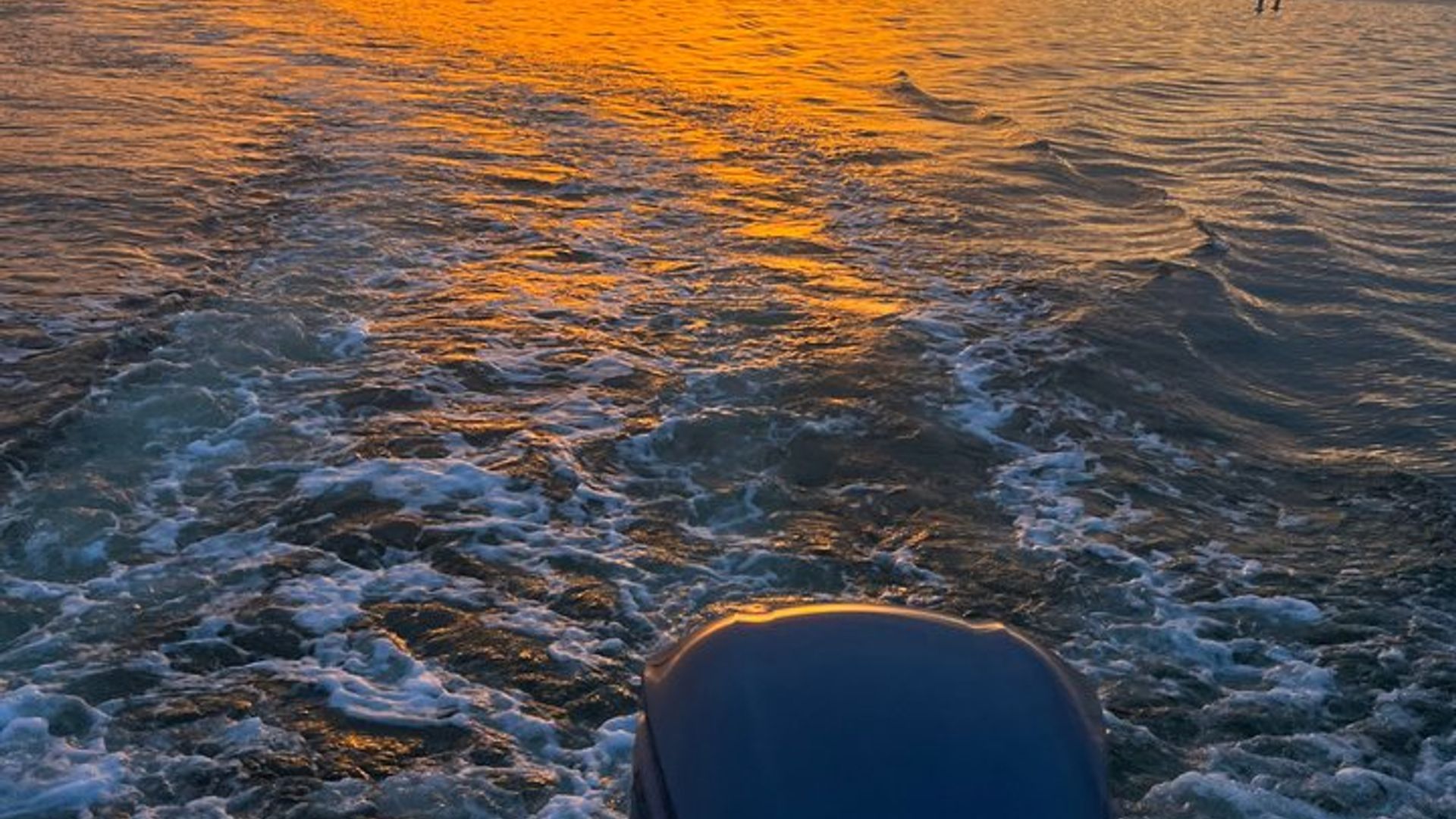 Delfinbeobachtungstour bei Sonnenuntergang