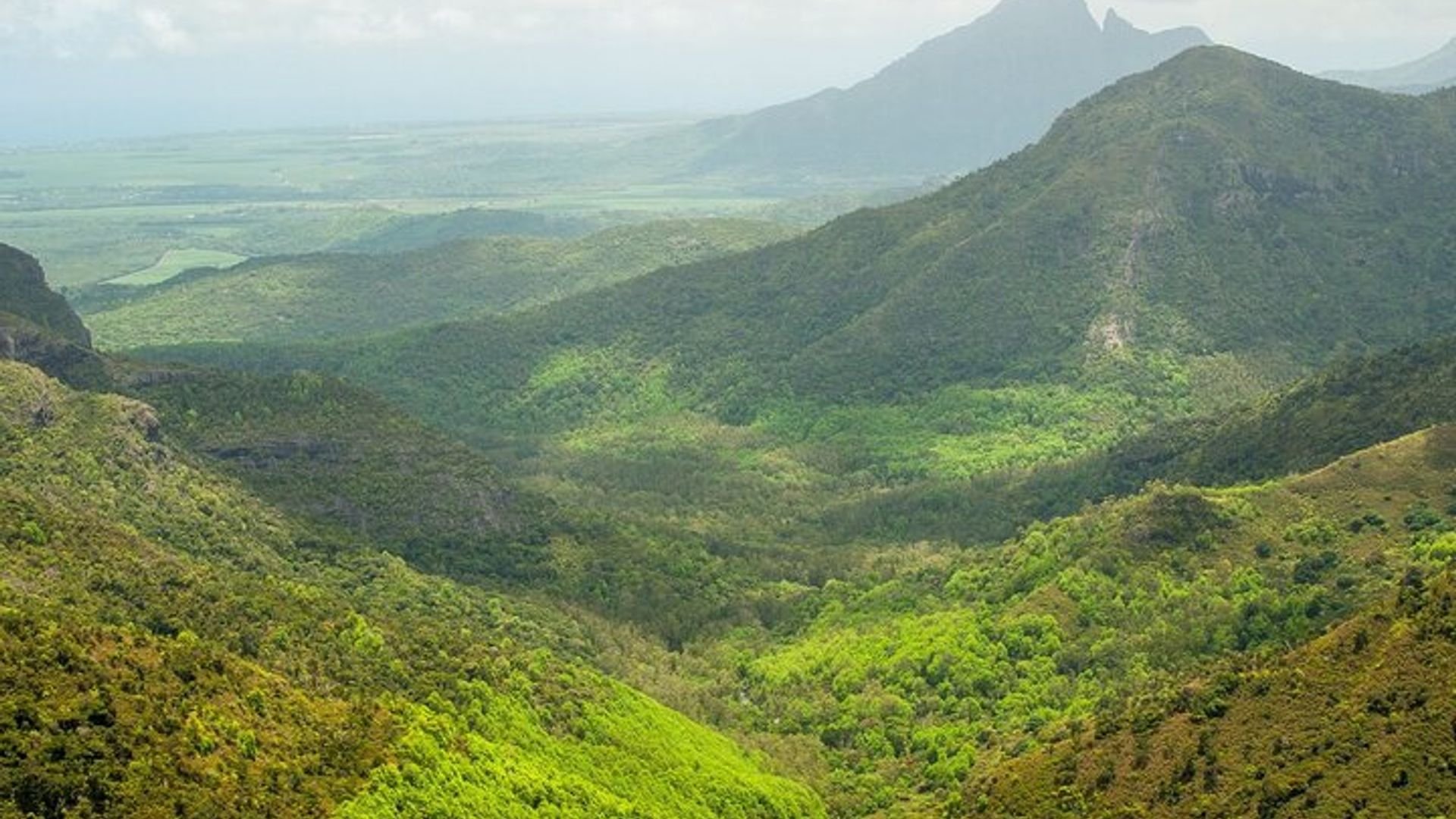 Wild South with Waterfalls & Rare Exotic Viewpoints with Lunch