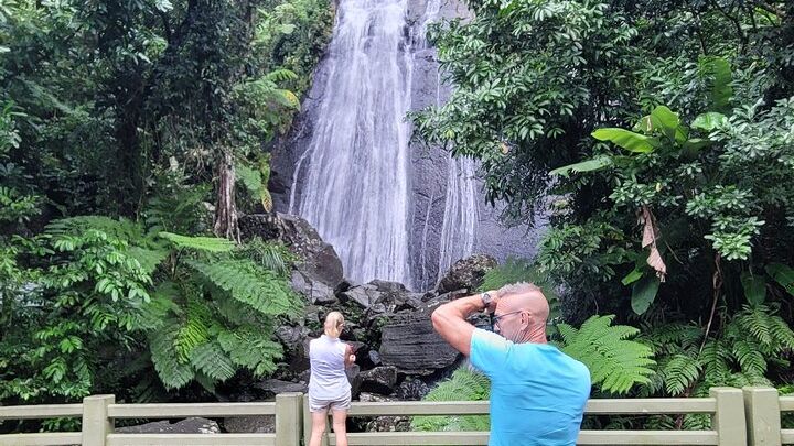 El Yunque National Forest: The Road 191 Corridor - Half Day