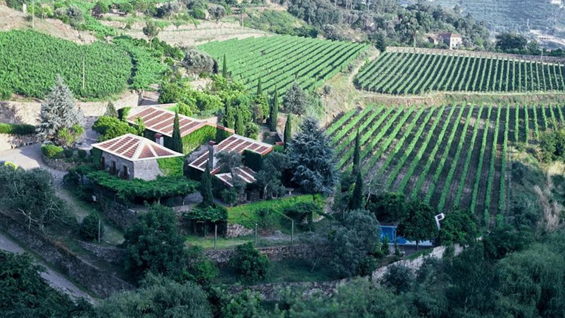 Private Green Wine Tour: Besuchen Sie 2 Weingüter mit Mittagessen inklusive