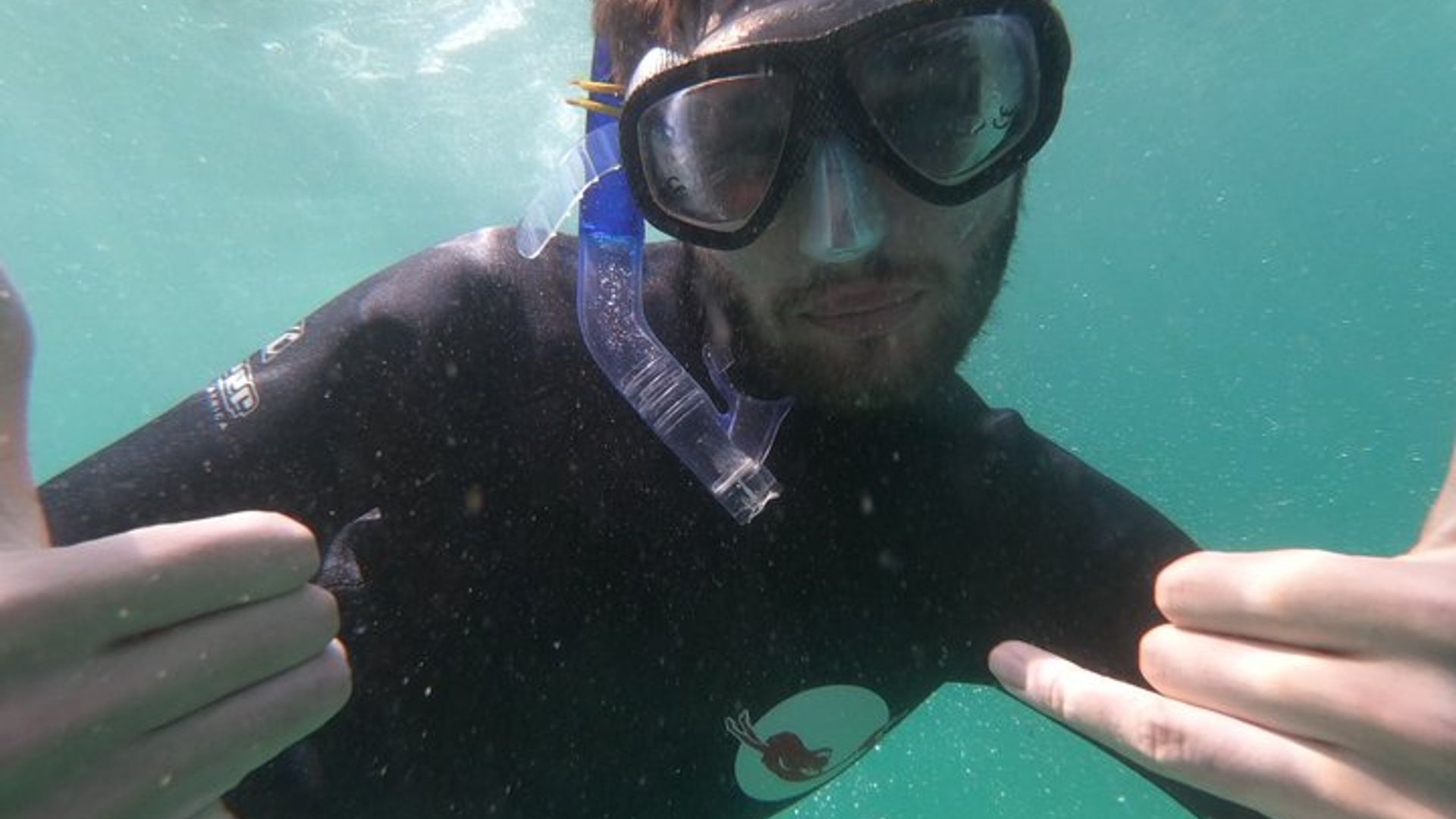 Robbenschwimmen in Plettenberg Bay