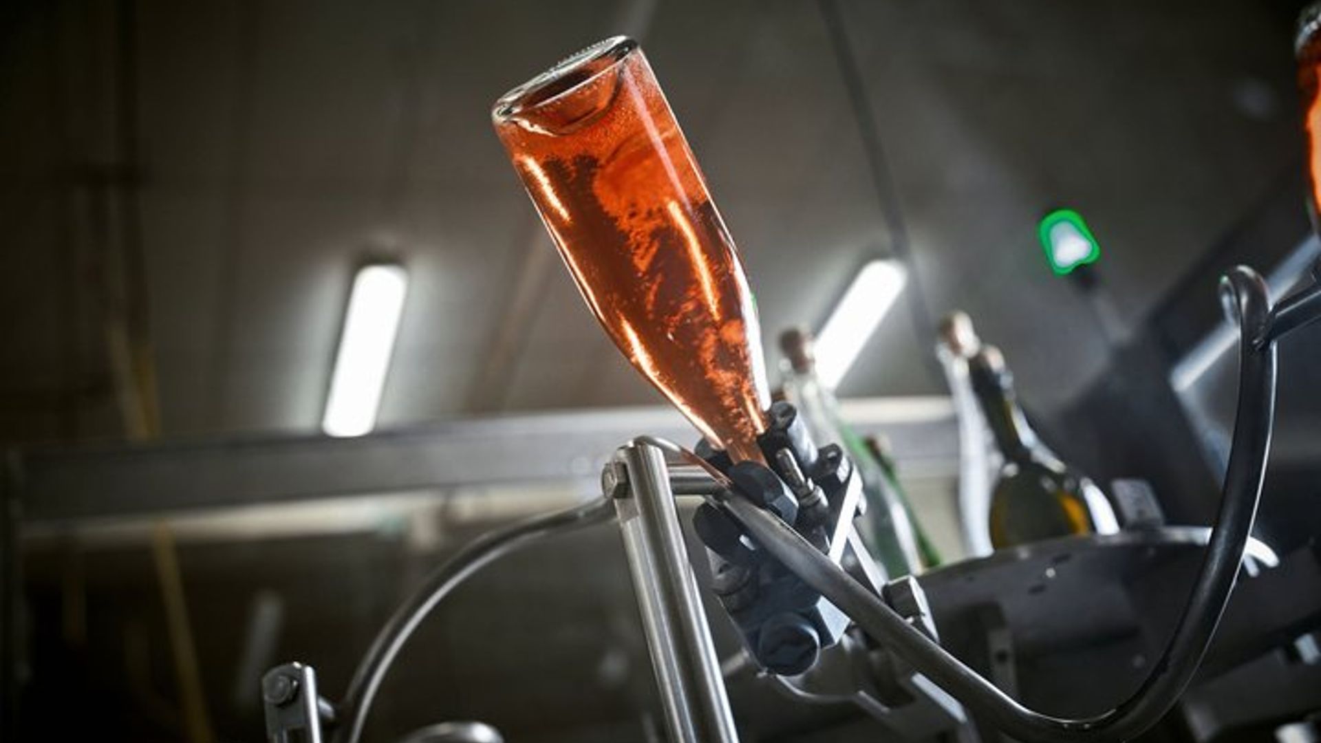 Visita y degustación de Crémant de Bourgogne en Rully.