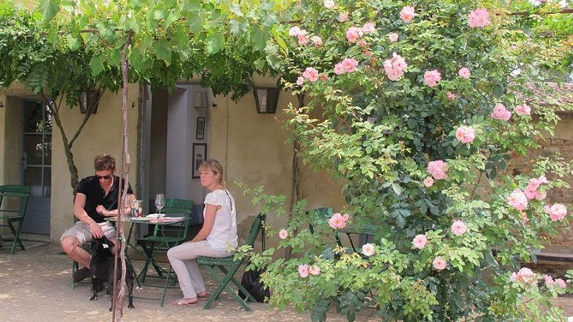 Wine taste & Lunch in a castle close to Florence