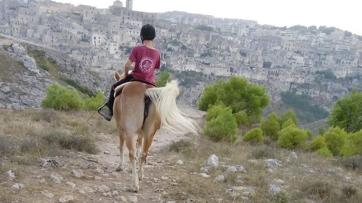 Murgia Park: Horse riding tour