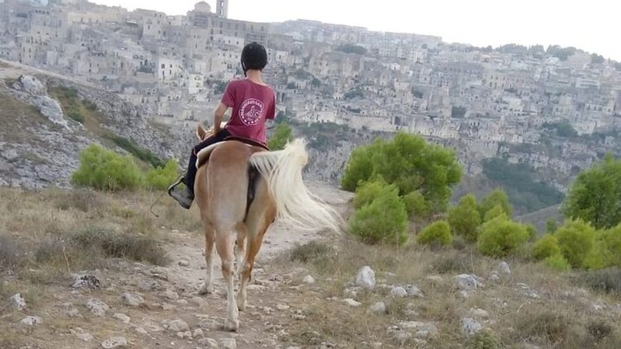 Murgia Park: Horse riding tour