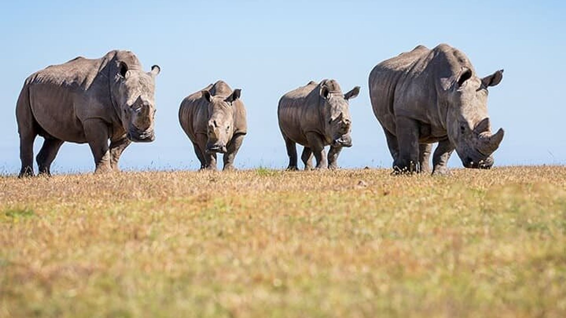 3 Tage 2 Nächte Garden Route Private Tour ab Kapstadt