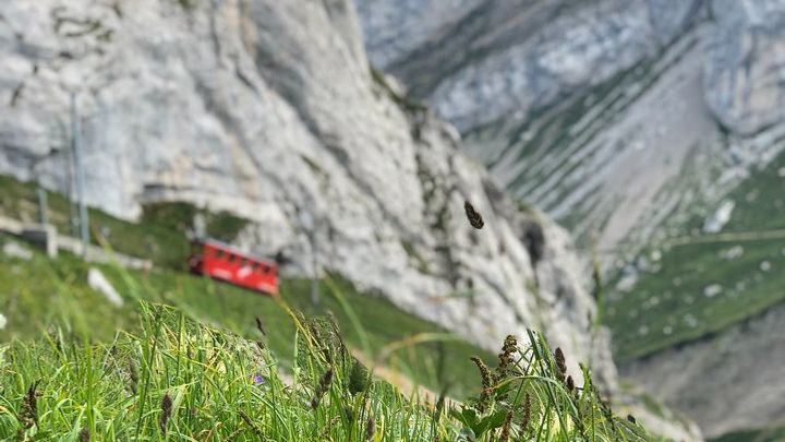 Mt. Pilatus & Lake Lucerne Cruise Small Group Tour | From Basel