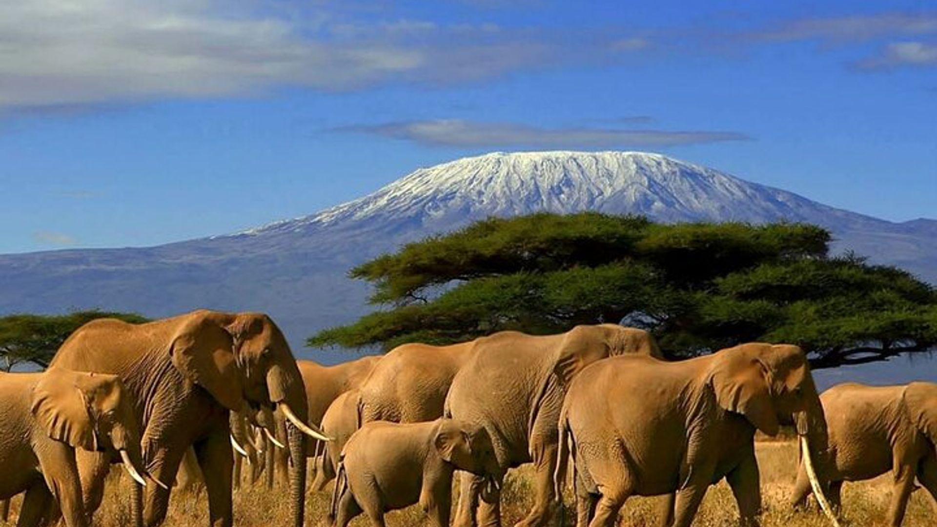 Cape Town to Durban & Garden Route - 7 day Private Safari