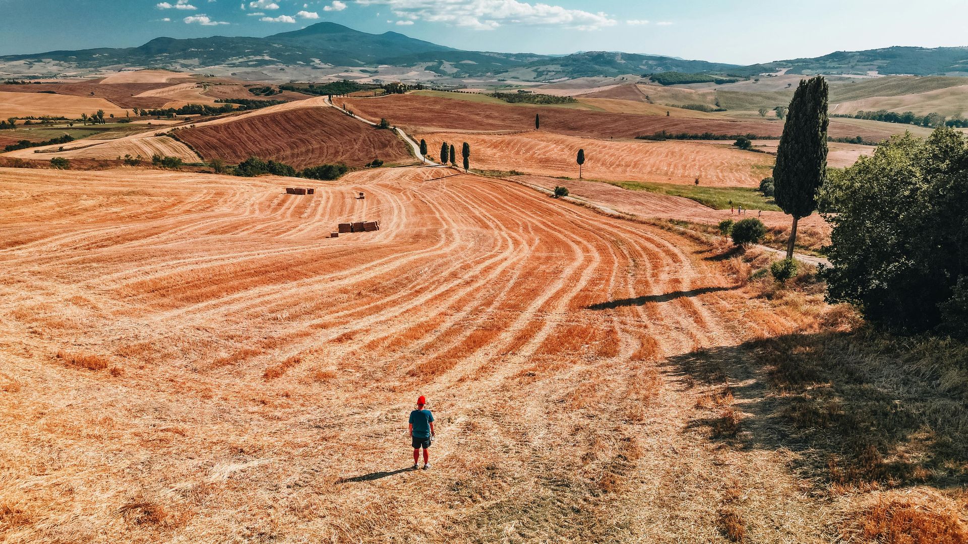 Val d'Orcia Masterpiece: E-Bike, Brunello & UNESCO Views