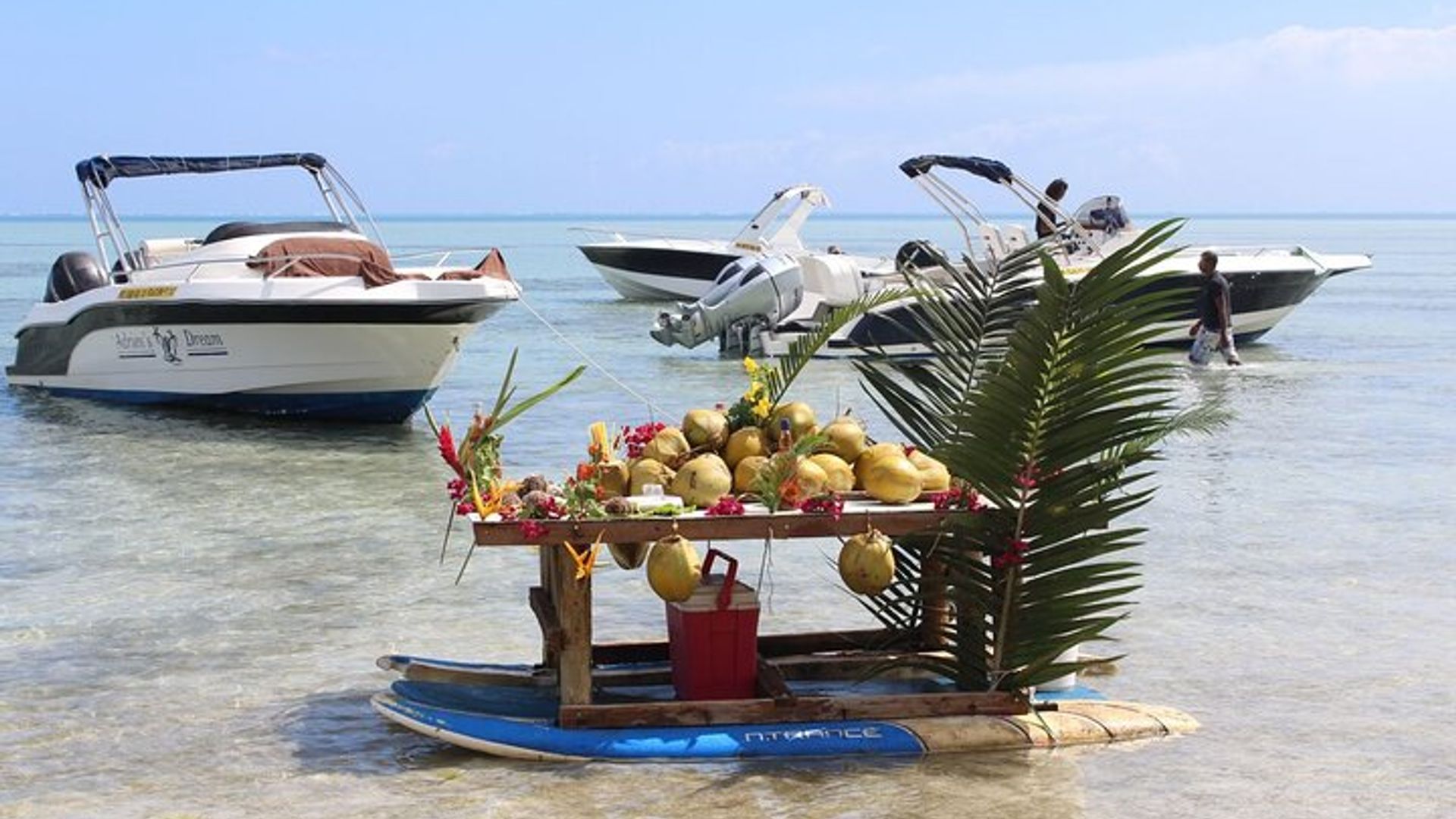 Inyanja Elegance Dolphin Guhura na Ile Aux Benitiers Umunsi wo kuzenguruka