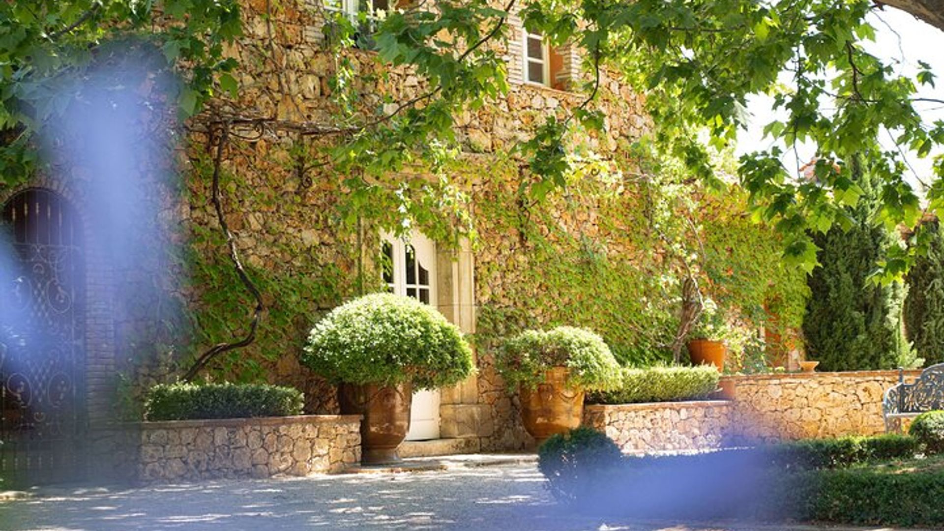 Cannes Tour De Vins De Provence En Petit Groupe De 3 Vignobles