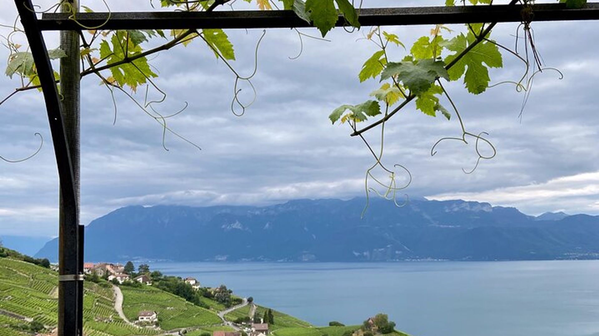 Historias de vid: paseo por el vino de Lavaux y Lutry