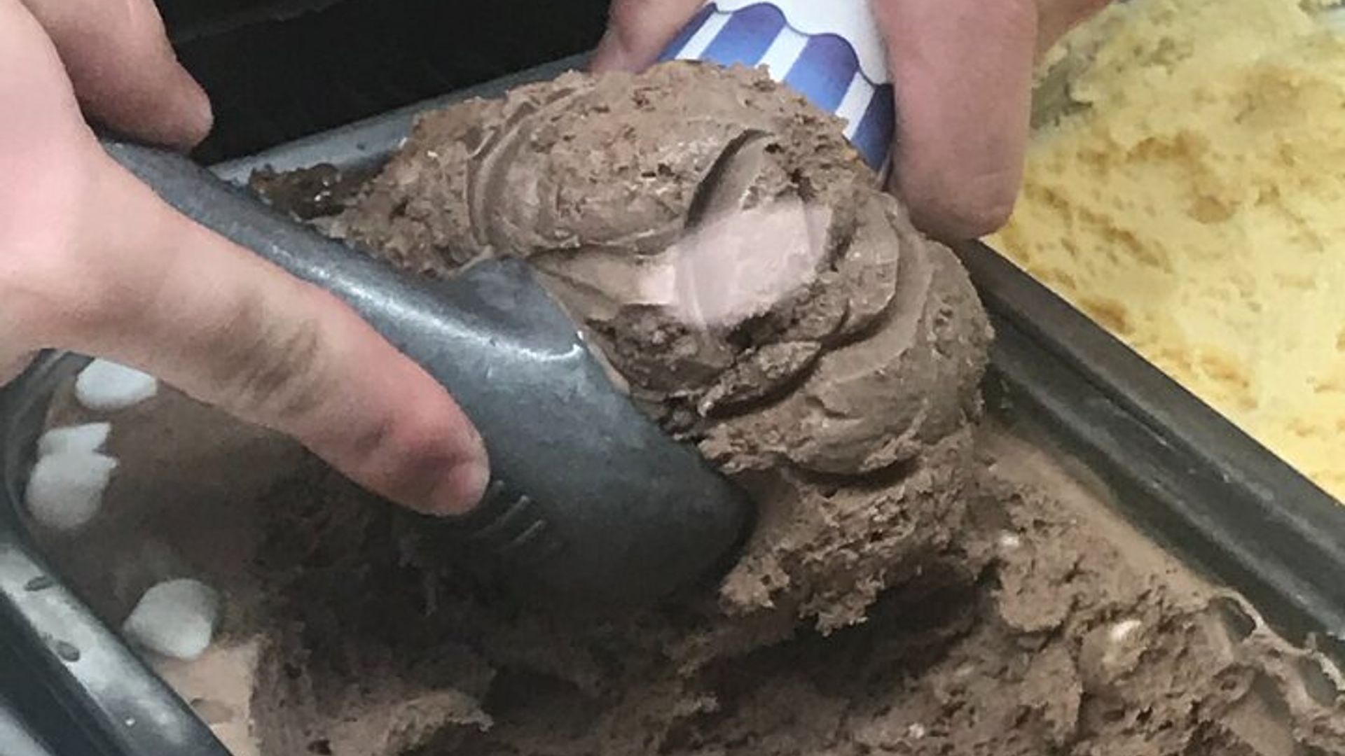 Búsqueda del tesoro en Santa Cruz, California