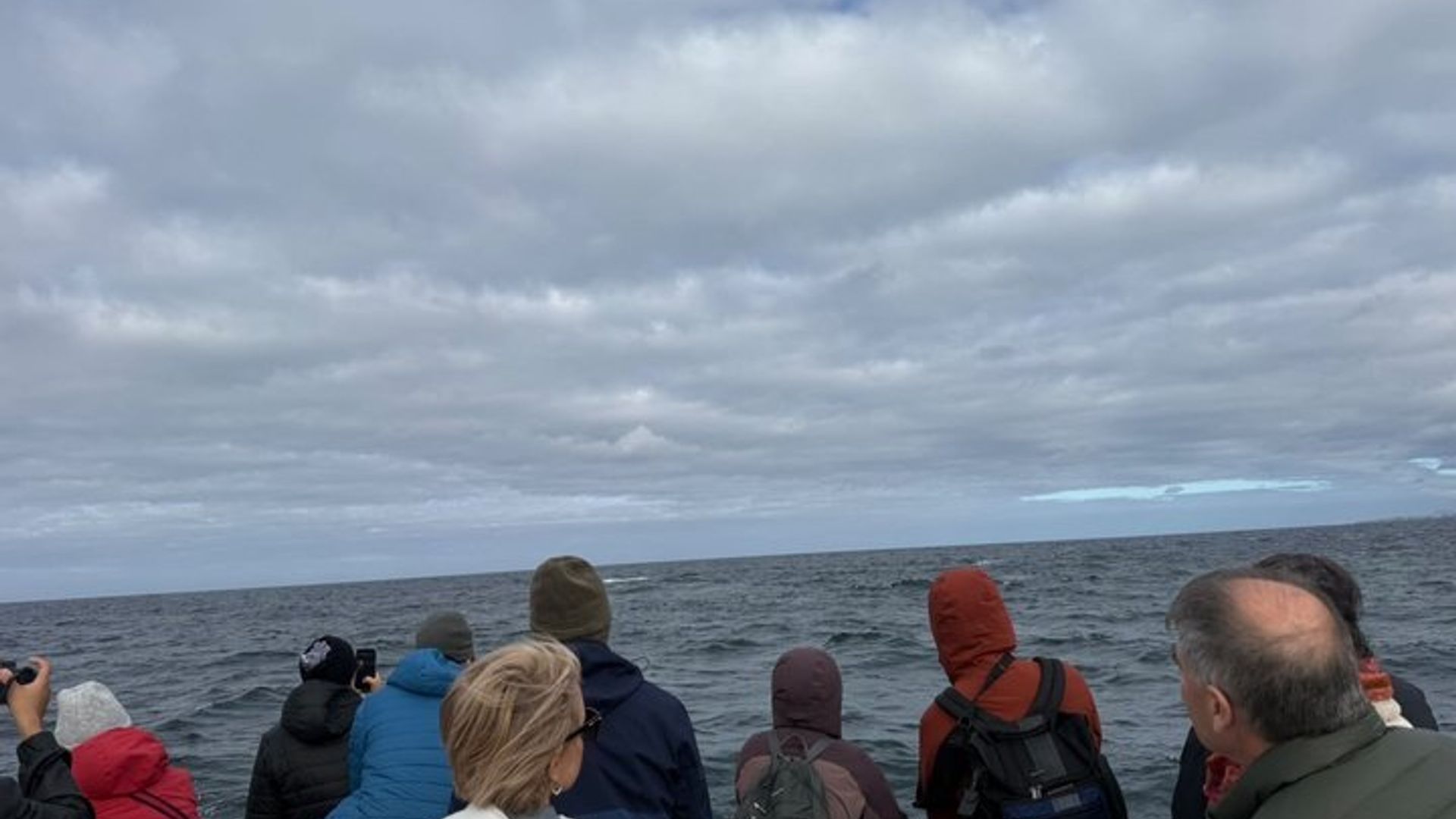 Gemeinsame Hermanus Boot basierte Walbeobachtung und Pinguin Abenteuer