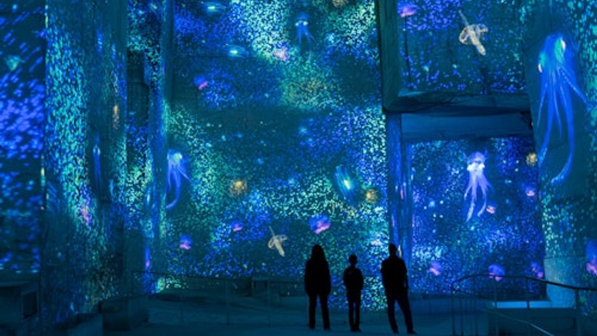 Carrières des Lumières: Ocean Exhibition