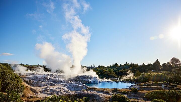 2-3 Hour Guided Tour of Whaka Geothermal Trails & Village