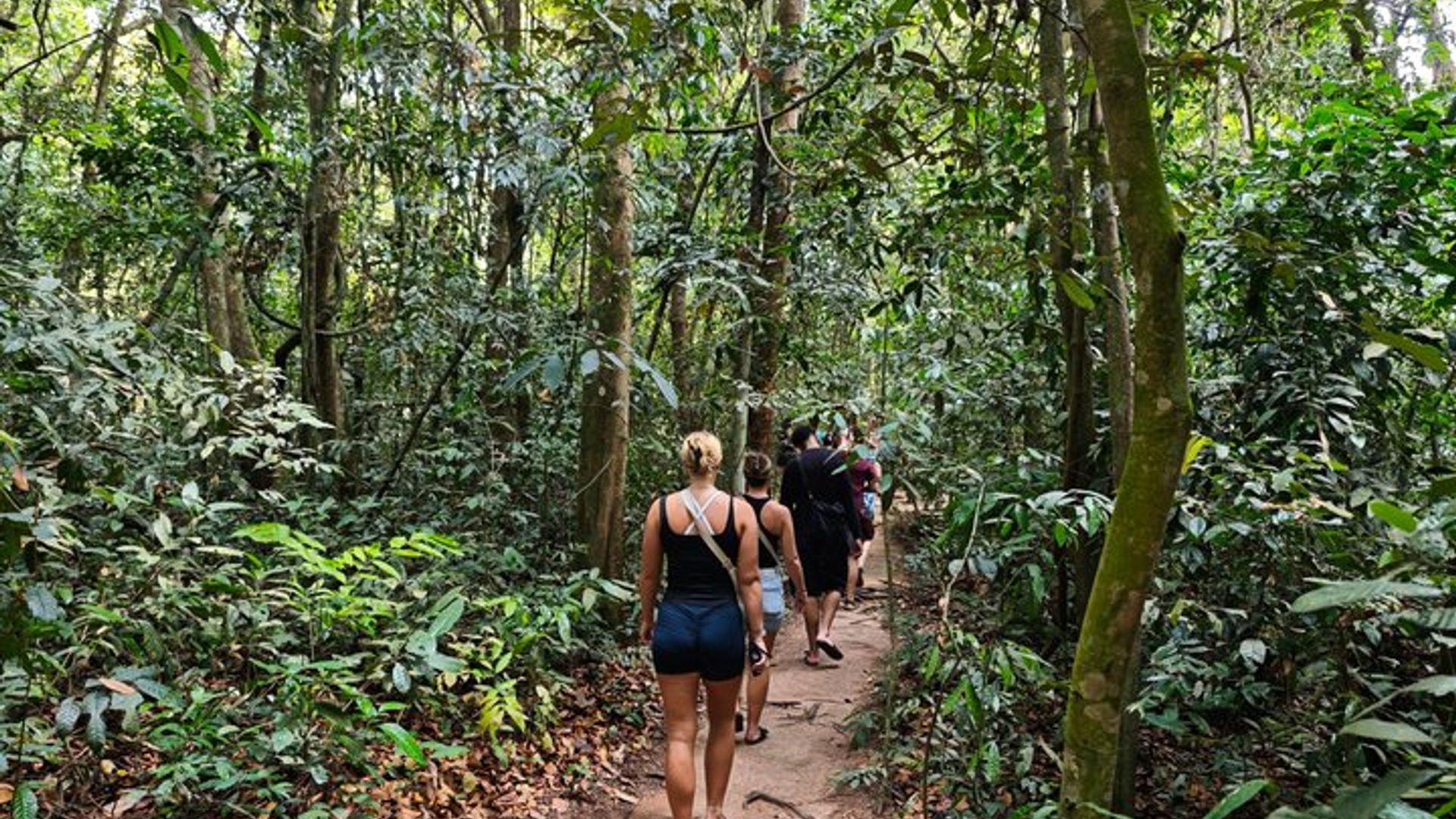 Cu Chi Ben Duoc Tunnel and Local Market Small-Group Tour