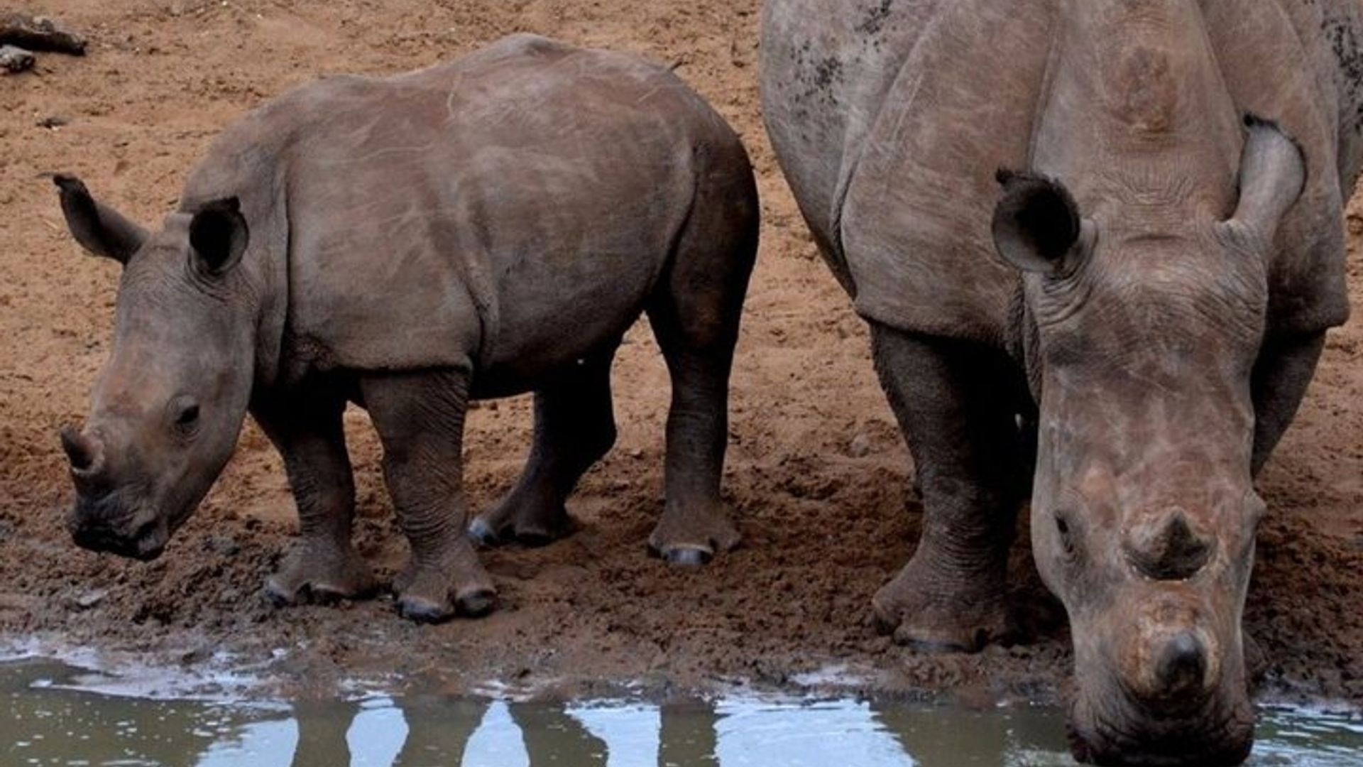 Garden Route 4 Tage Kleingruppensafari ab CapeTown startet jeden Tag