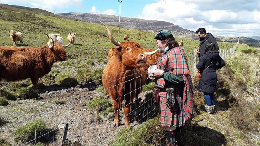 Highlands and Isle of Skye Private Guided Tour from Inverness