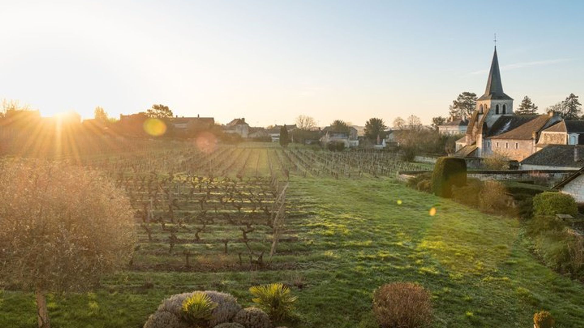 Weinprobe mit dem Winzer auf Domaine Beaumont Distré-Saumur