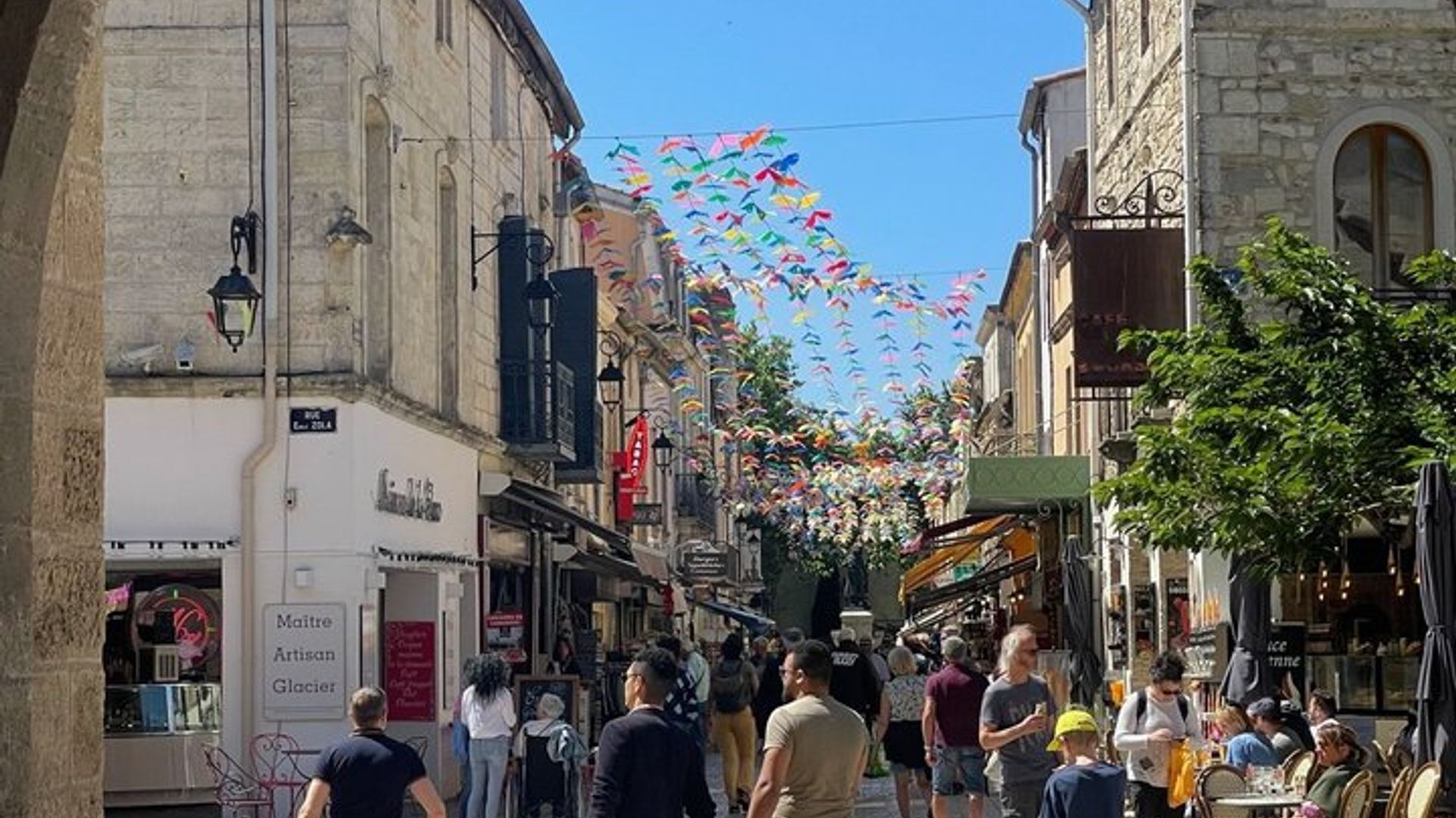 Excursion d'une journée en Camargue au départ de Montpellier