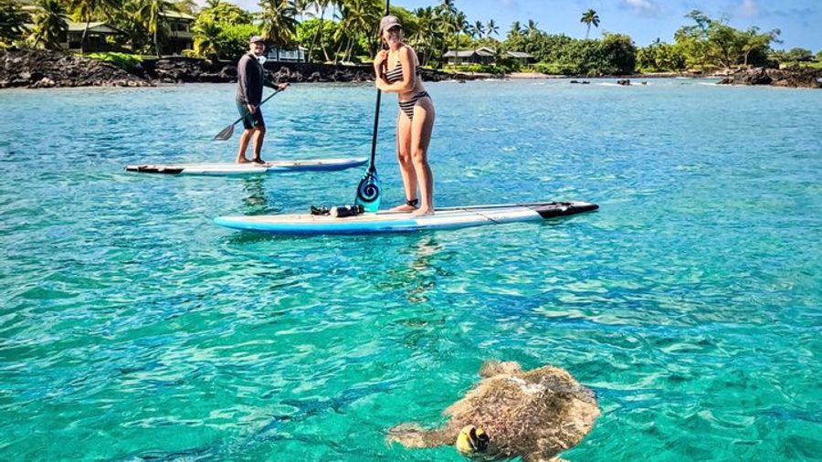 Kihei Private Stand Up Paddle Tour