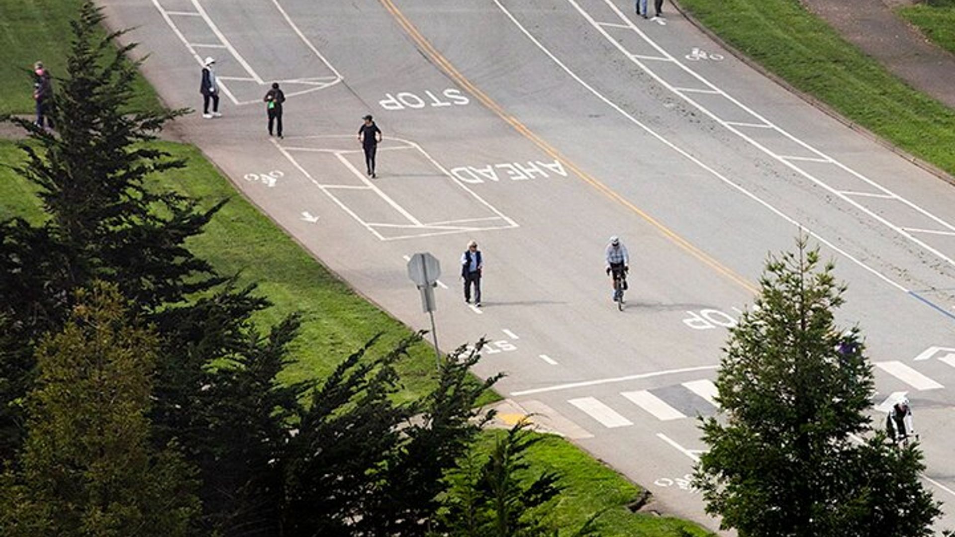 San Francisco Chronicle's Golden Gate Park Self-Guided Tour image 2