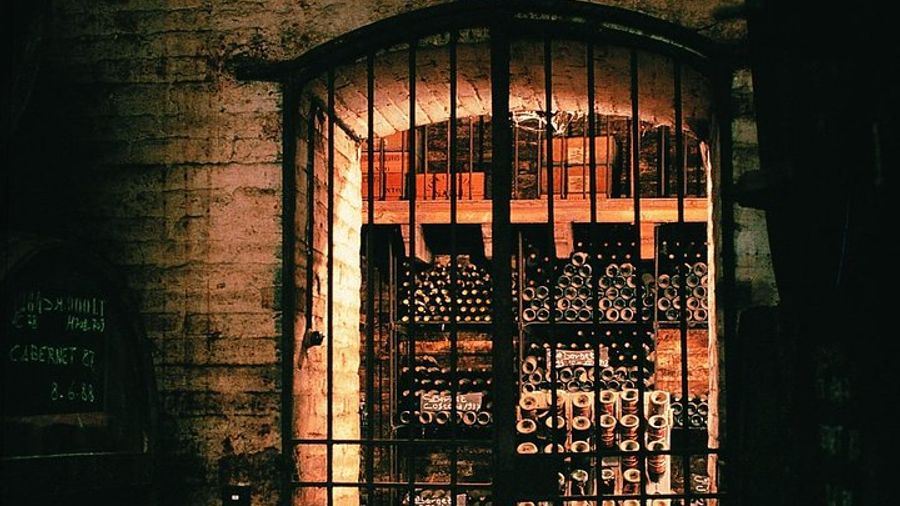 Viña Cousiño Macul Wine Tasting & Cellar Tour in Santiago