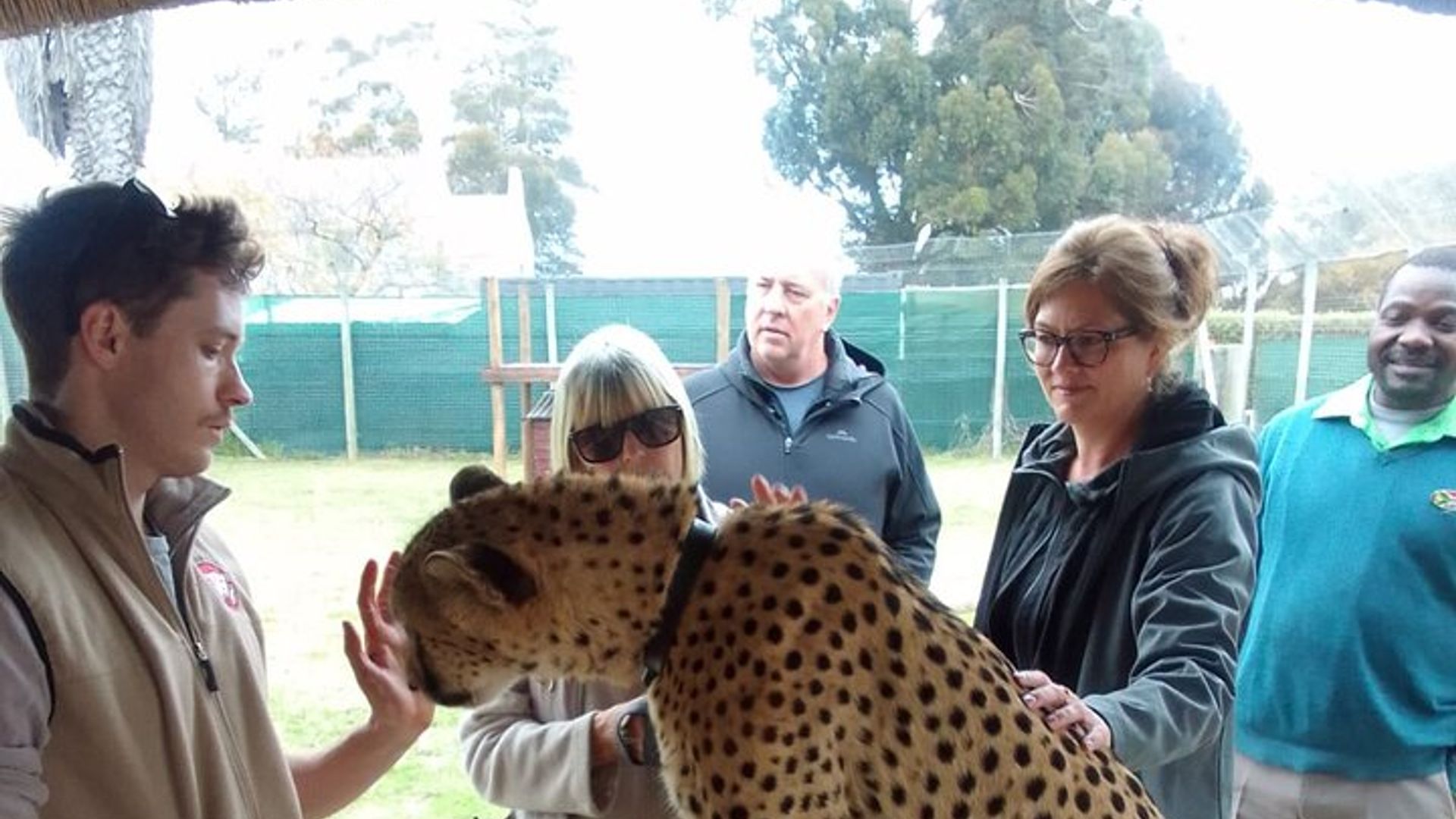 Excursión a Cheetah Outreach, Gordon's Bay y Strand Beach