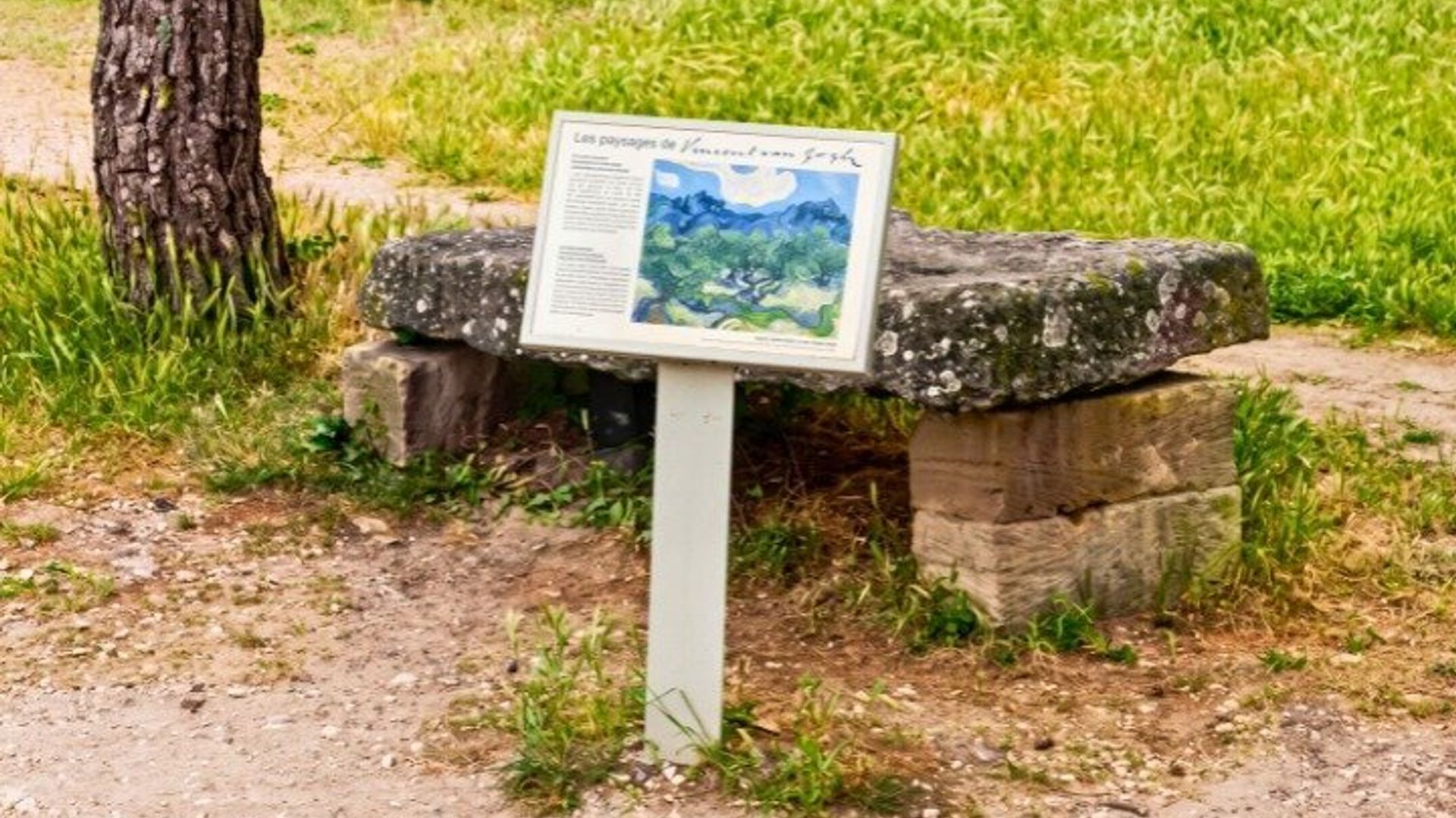 Tour a pie por Saint-Rémy-de-Provence Van Gogh