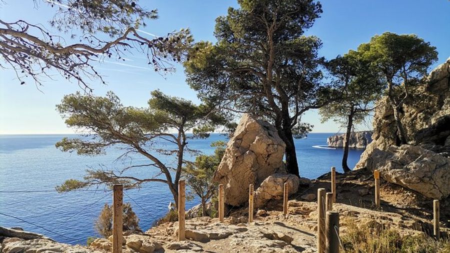 Hiking in the Calanques National park from Marseille