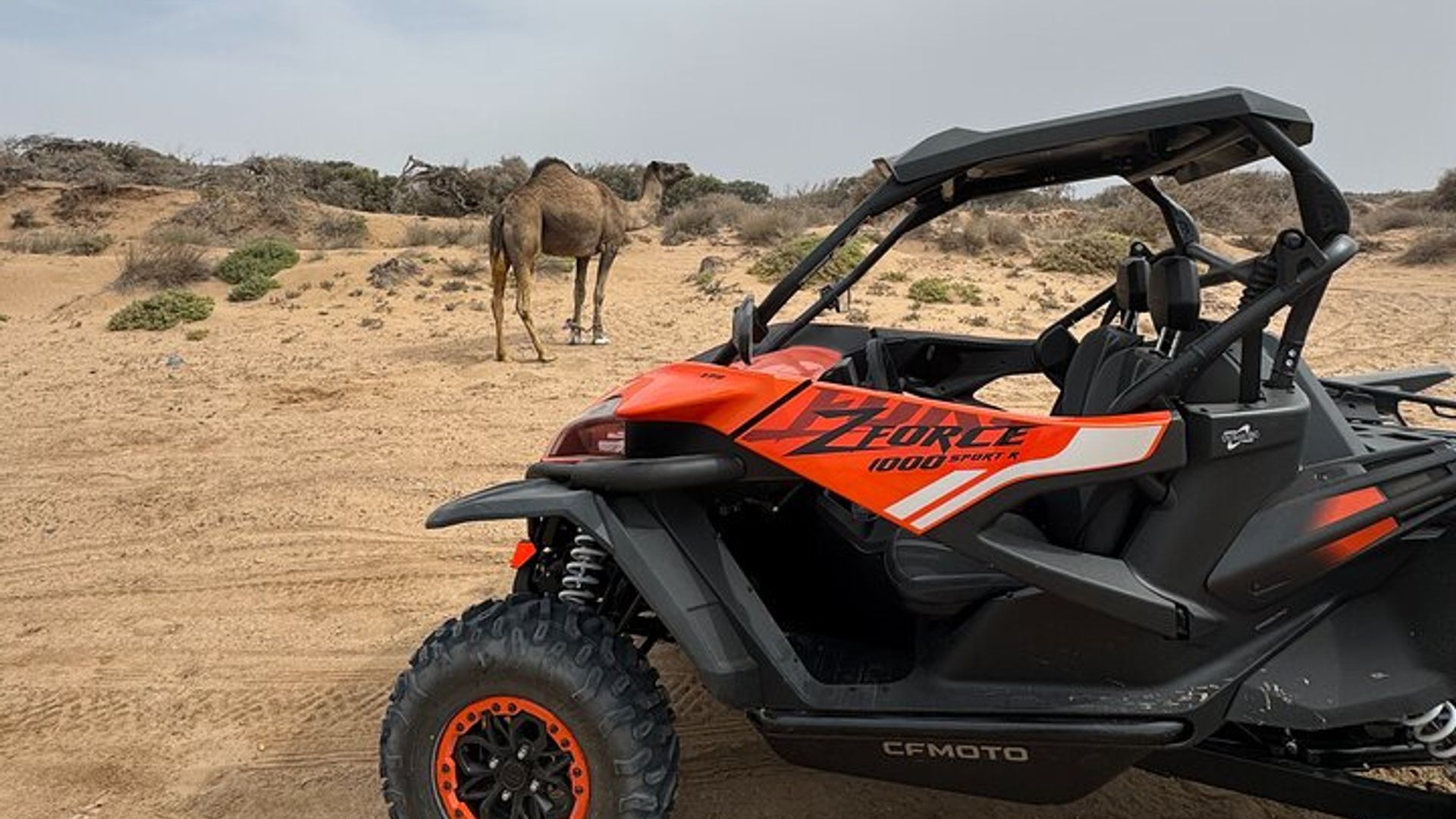 2 - Horas Buggy Aventura en el desierto de Essaouira (2 plazas por buggy)