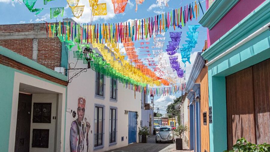 Guided Tour of Art and Murals in Oaxaca