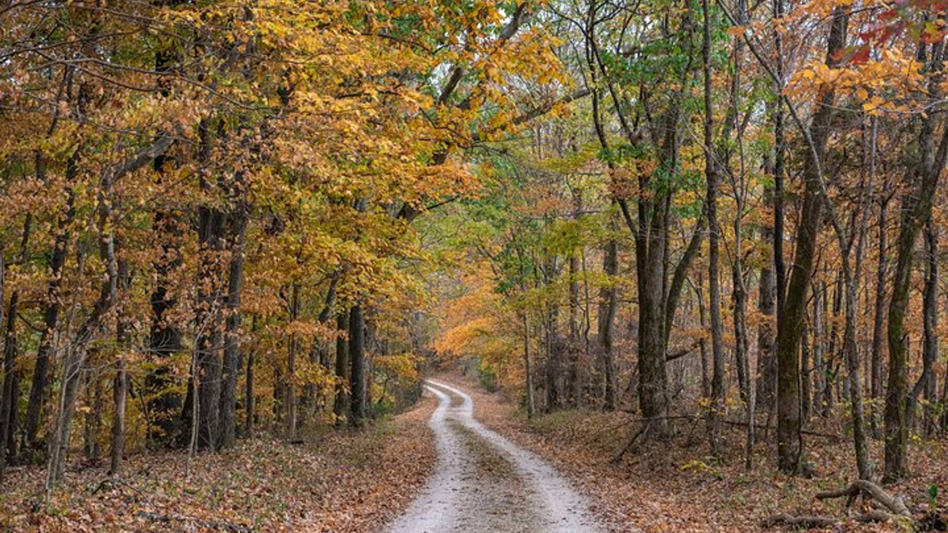 Natchez Trace Parkway: Tennessee & Alabama GPS Audio Driving Tour
