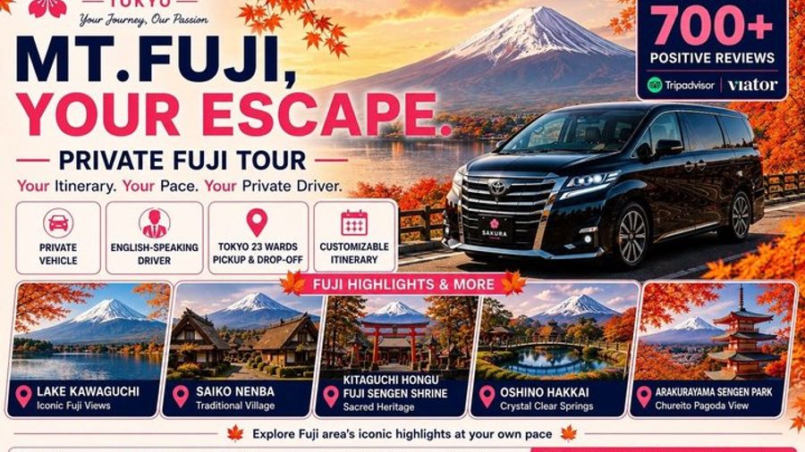 Mt Fuji Full Day Private Tour from Tokyo with English Driver