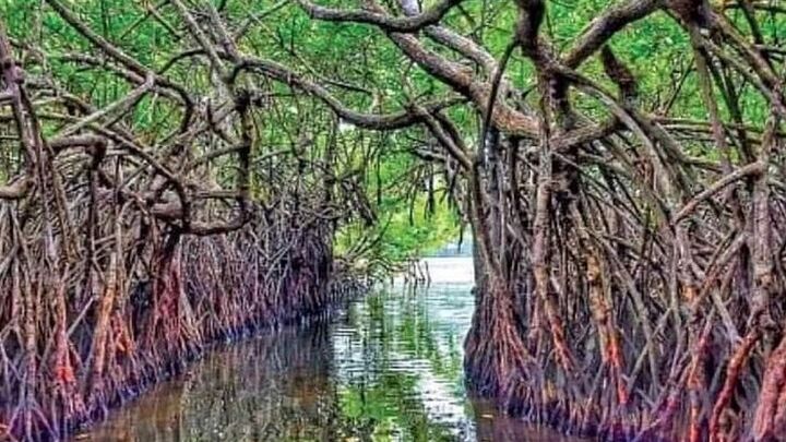 5 DAYS BUDGET TOUR package in Sri Lanka