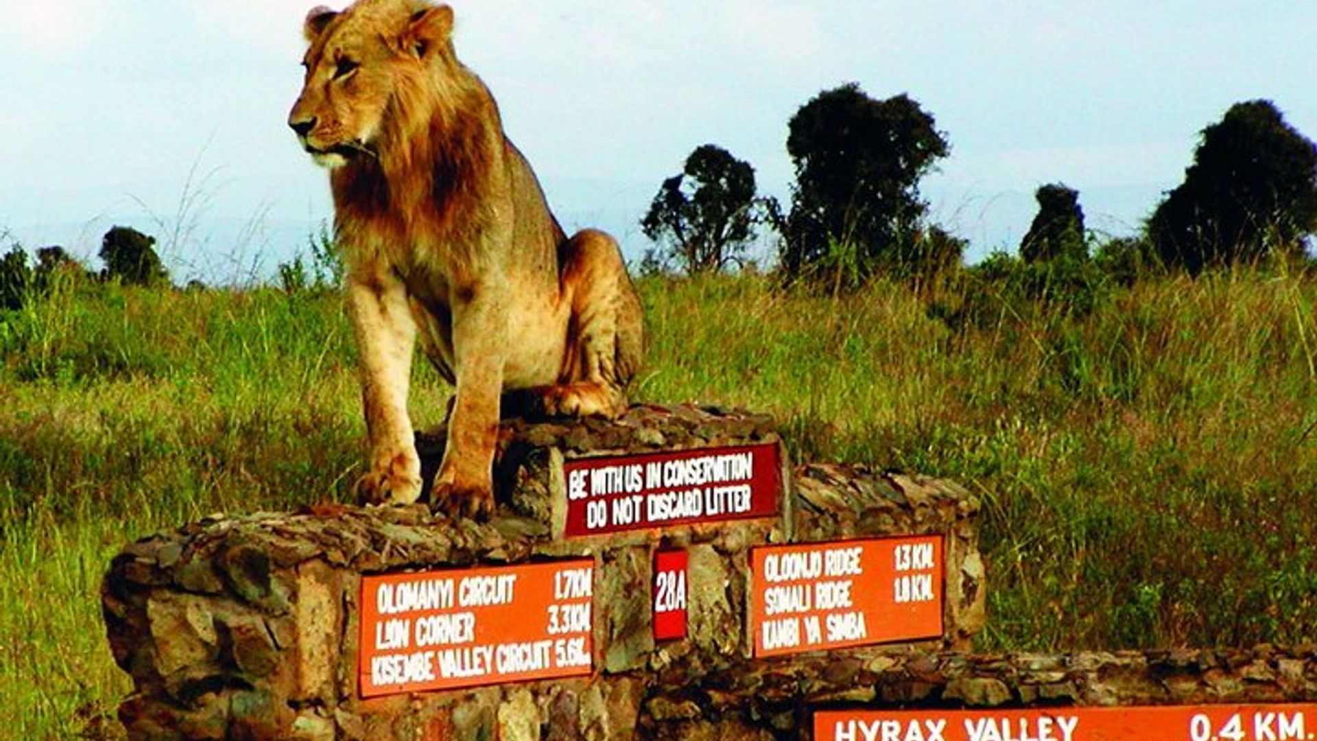 Nairobi National Park Half-Day Game Drive With Free Pick Up