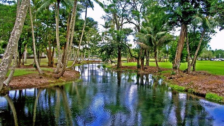 Hilo Town Tour Hop on Hop off experience