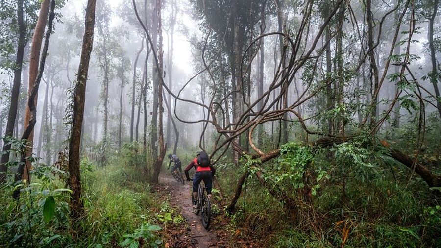 Chiang Mai Smoke on the Water Trail Mountain Biking Tour