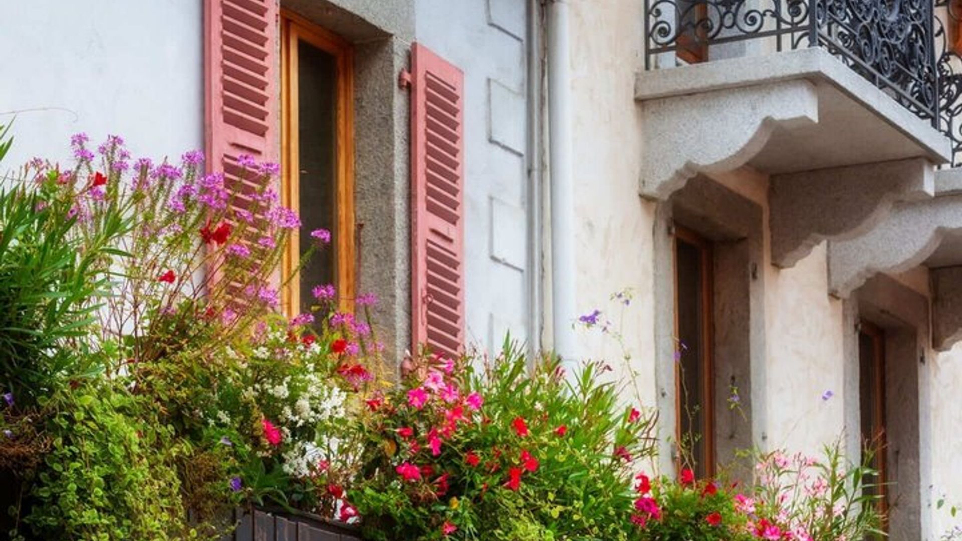 Hallo Poitiers : Private 2 - Stunden Intro Stadtrundgang mit Ortskundiger Reiseleiter