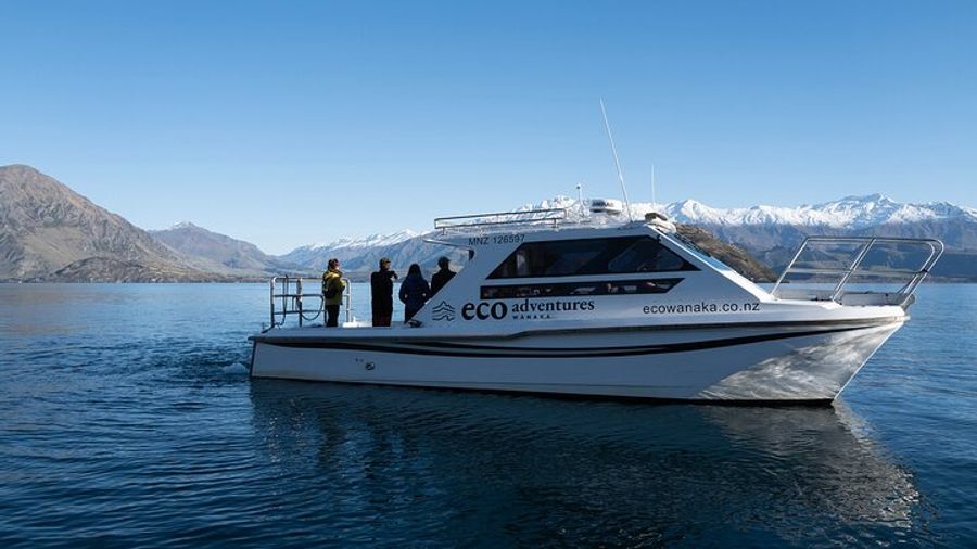 Wānaka Lake Cruise, Mou Waho Island Nature Walk Half-Day Tour