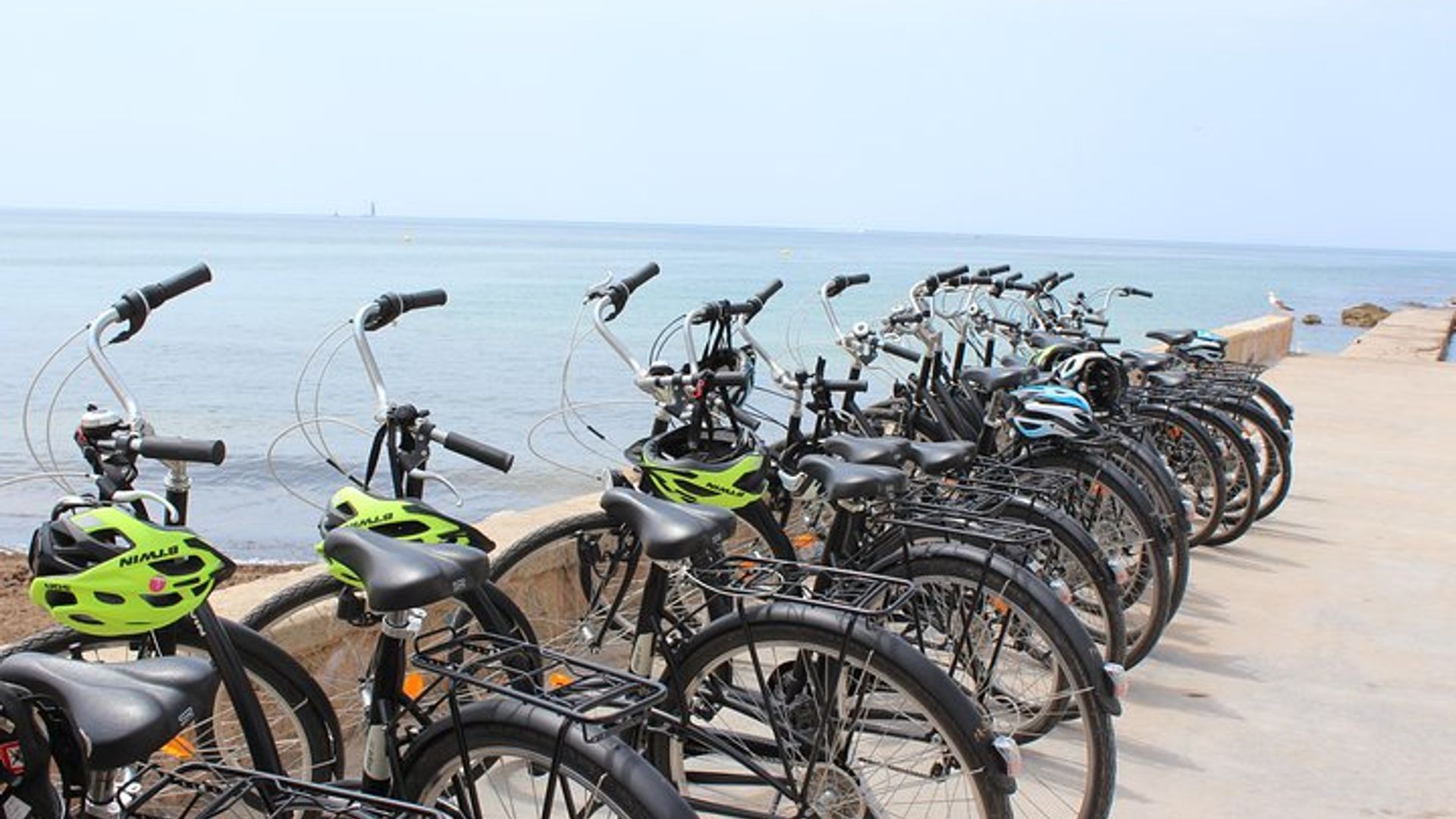 Visite à vélo facile de Palma de Majorque (petits groupes)