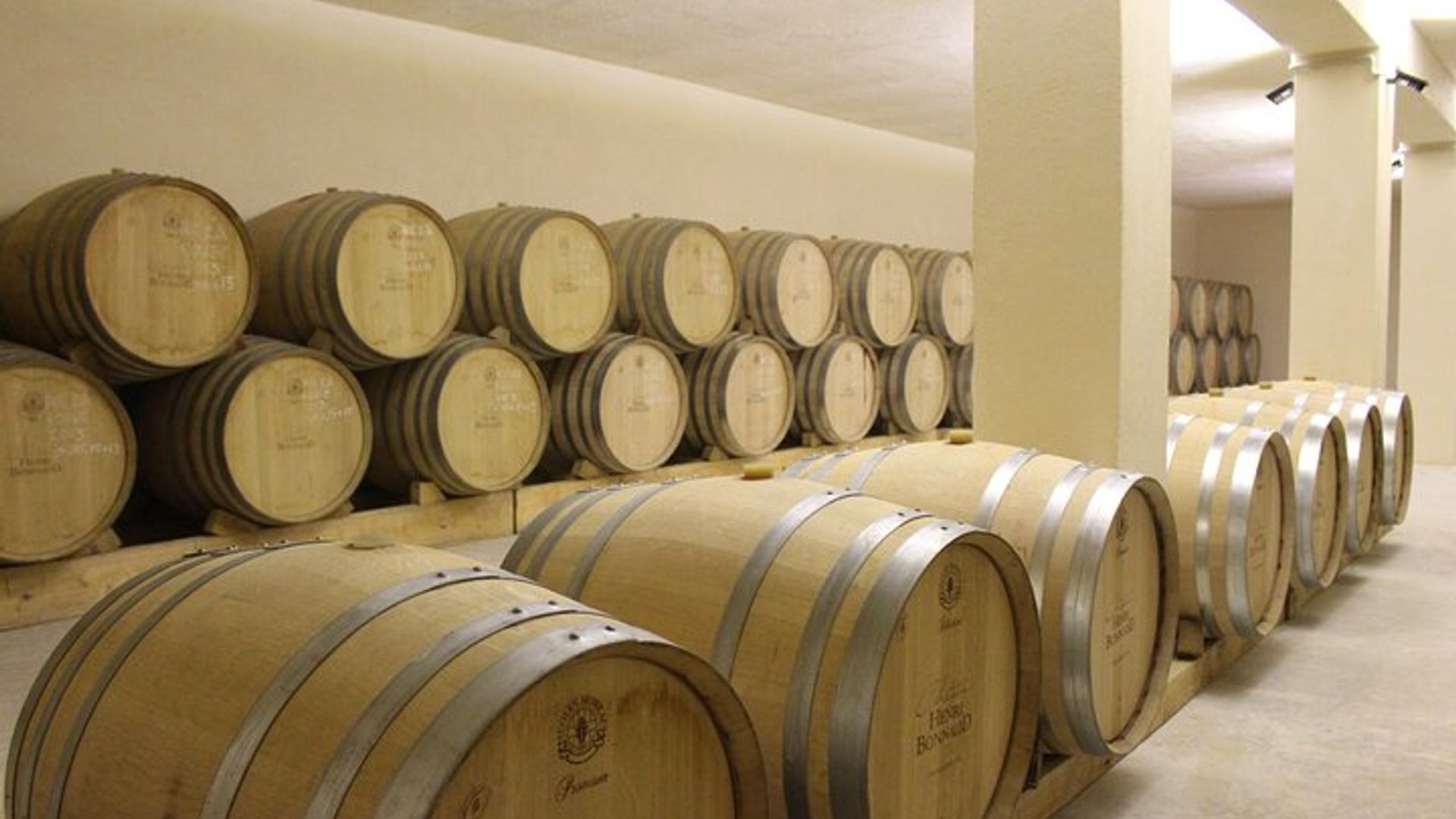 Visite et Dégustation des Vins en AOC Palette