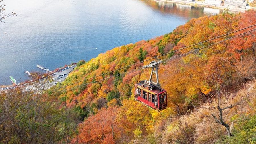 Mount Fuji And Lake Kawaguchiko Nature and Culture Day Trip